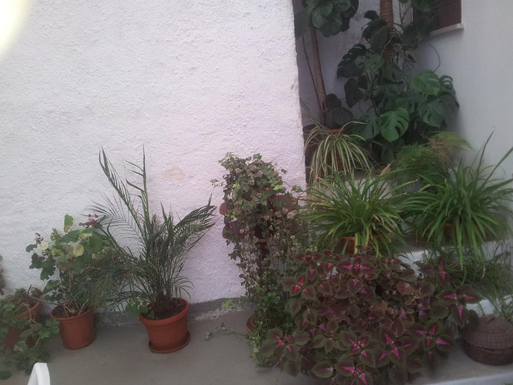 B&B Da Mati Campobello di Mazara Dış mekan fotoğraf